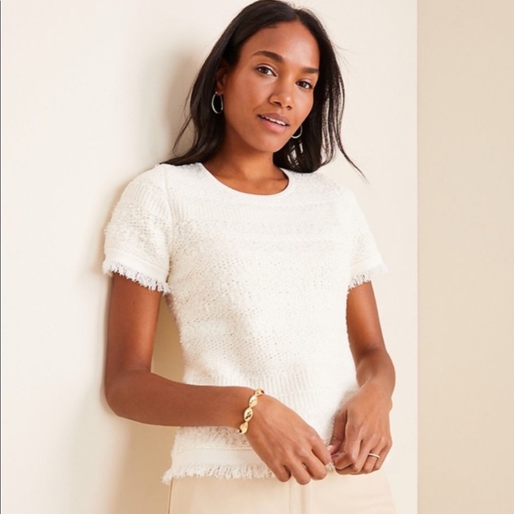 NWT Ann Taylor Petite Stitched Fringe Sweater